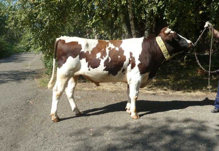 ТЕТРИС 14520 КСКП-188